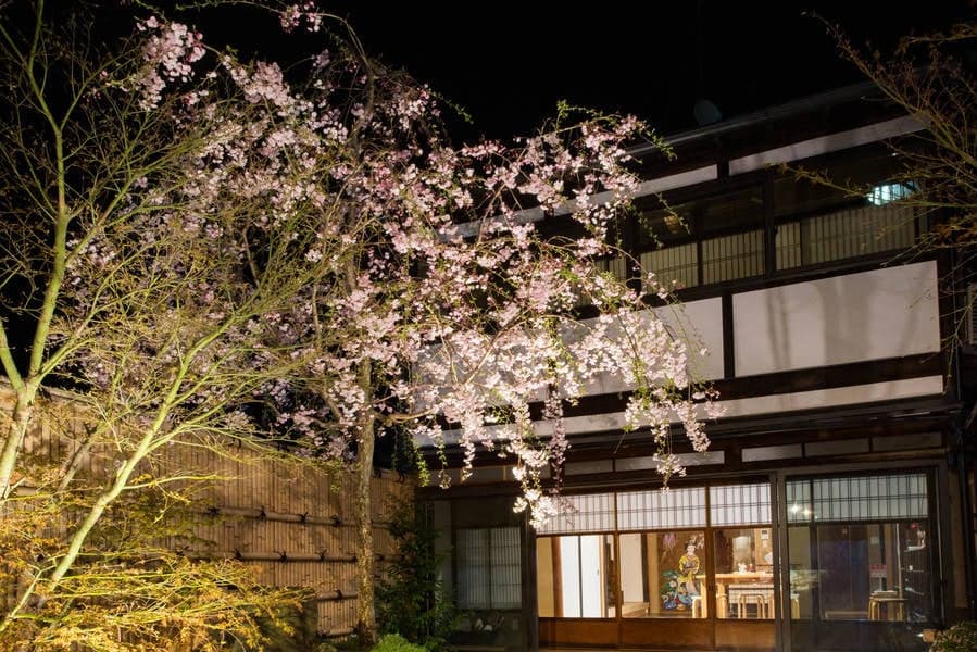 日本庭園付き”京町家” 写真3