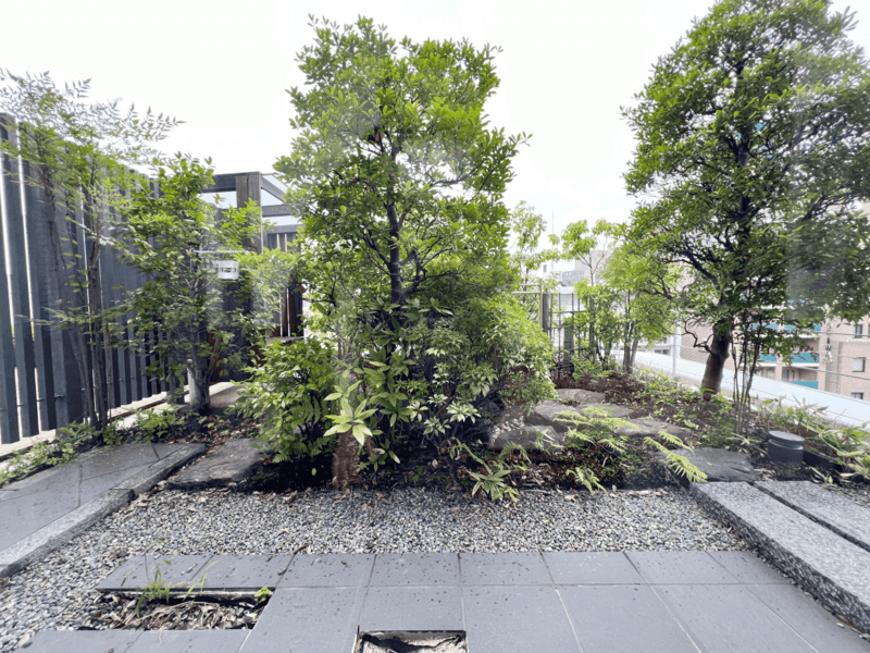 チュチュアンナ本社ビル 森ノ宮駅大阪城公園前 茶室 写真5