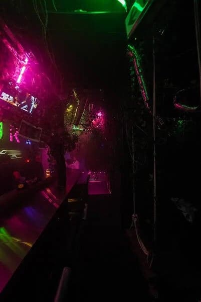 ジャングル風パーティースペース 写真3
