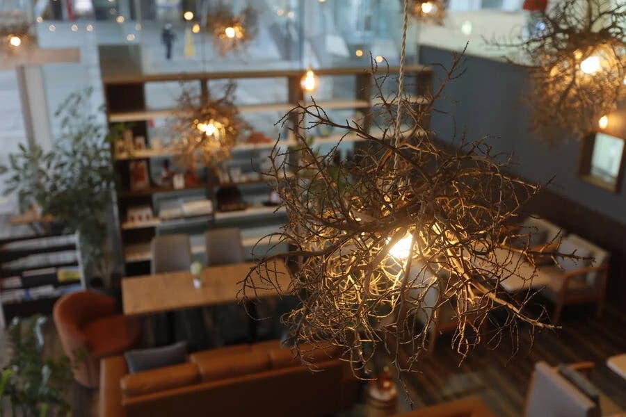 MECAL GARDEN 写真4