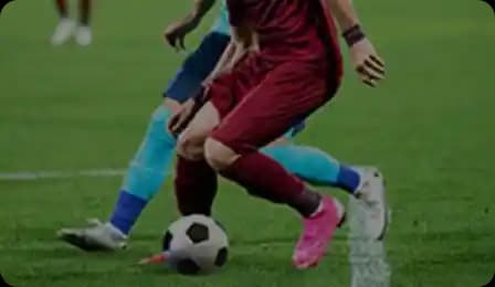 スポーツ観戦